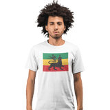 Unisex Heavyweight T Shirt - Conquering Lion Of Judah