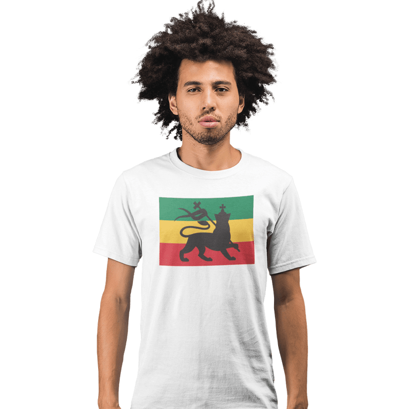 Unisex Heavyweight T Shirt - Conquering Lion Of Judah